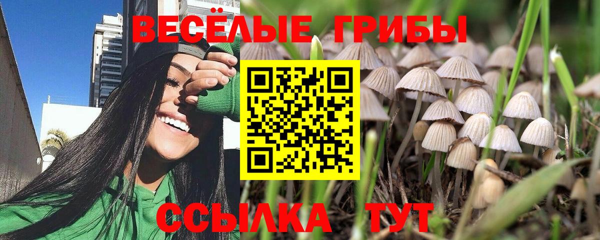 Галлюциногенные грибы MAGIC MUSHROOMS Елец
