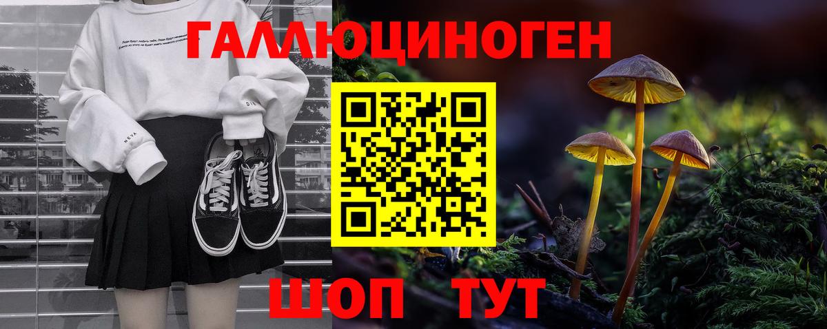 Галлюциногенные грибы MAGIC MUSHROOMS  Вход с VPN  Елец 