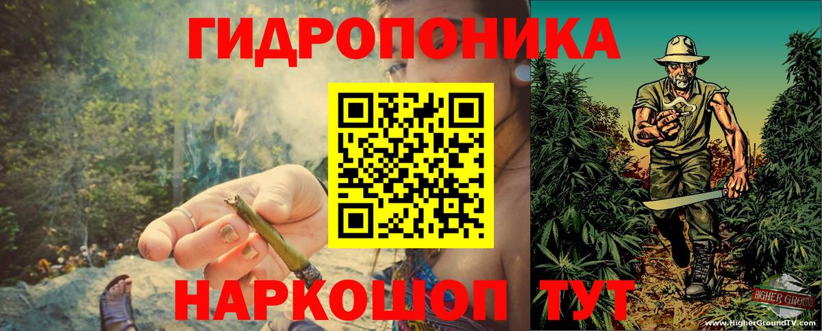 Каннабис семена  Каннабис White Widow  Елец  Бошки марихуана OG Kush  Вход с VPN  Канабис индика 